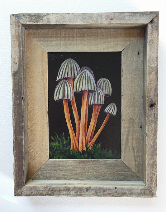 5x7 Framed Mushroom Cluster II
