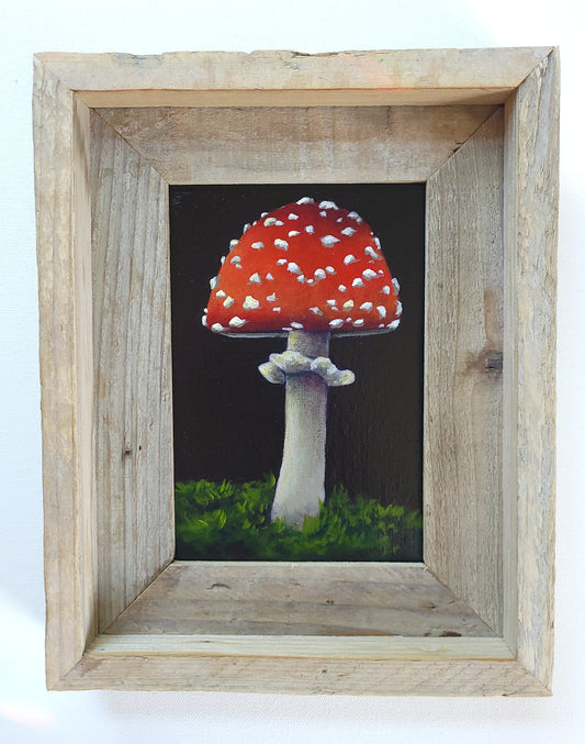 5x7 Framed Mushroom VI