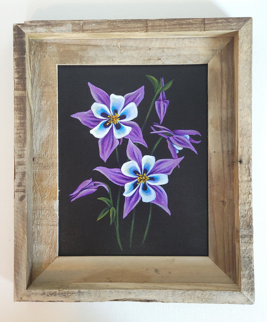 8x10 Columbines