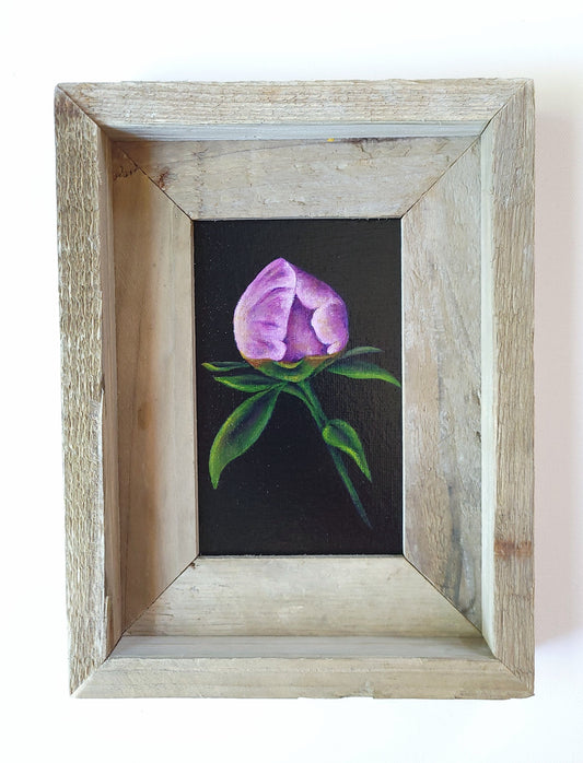 4x6 Framed Mini Peony Bud