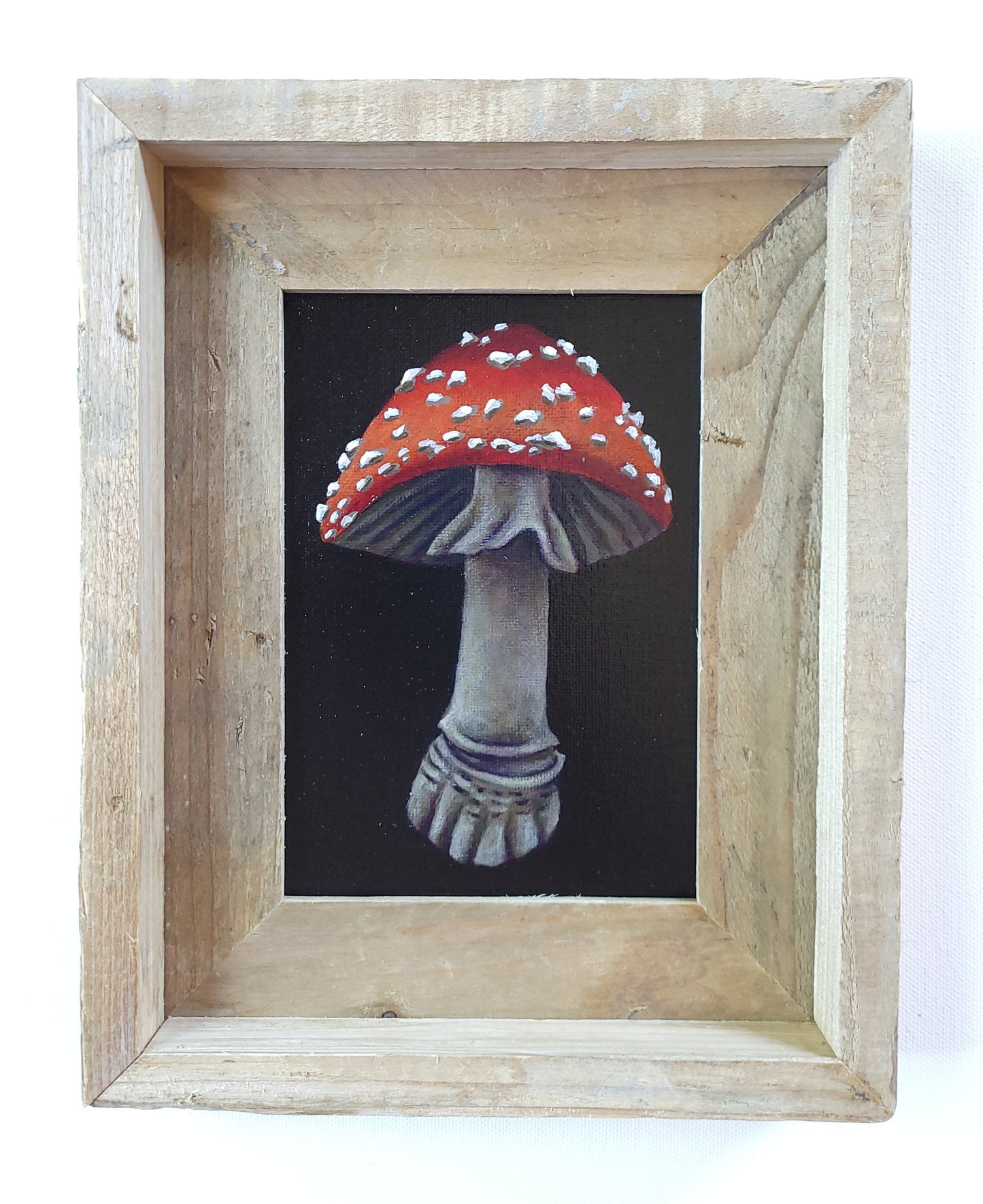 5x7 Framed Mushroom X