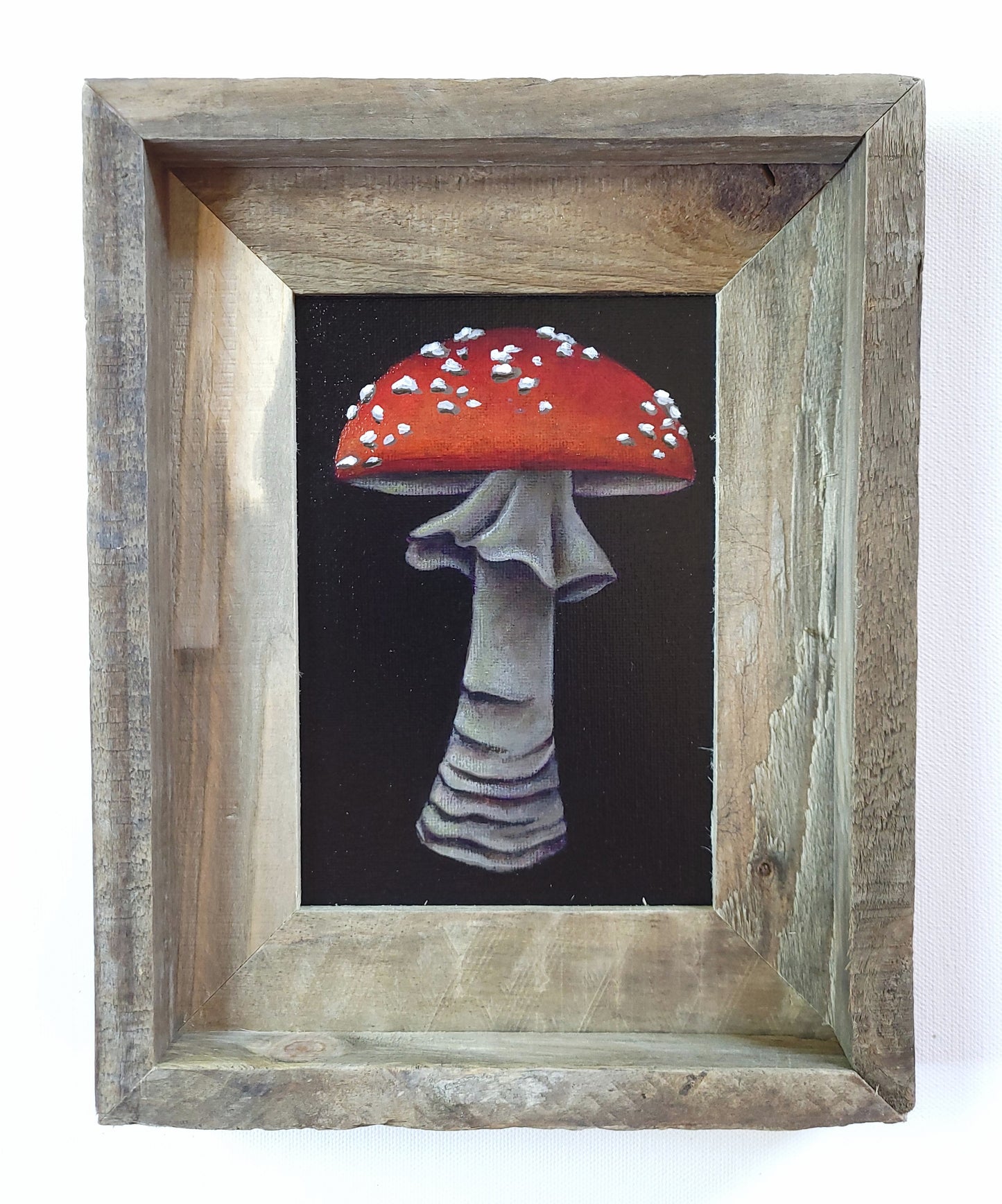 5x7 Framed Mushroom VIIII