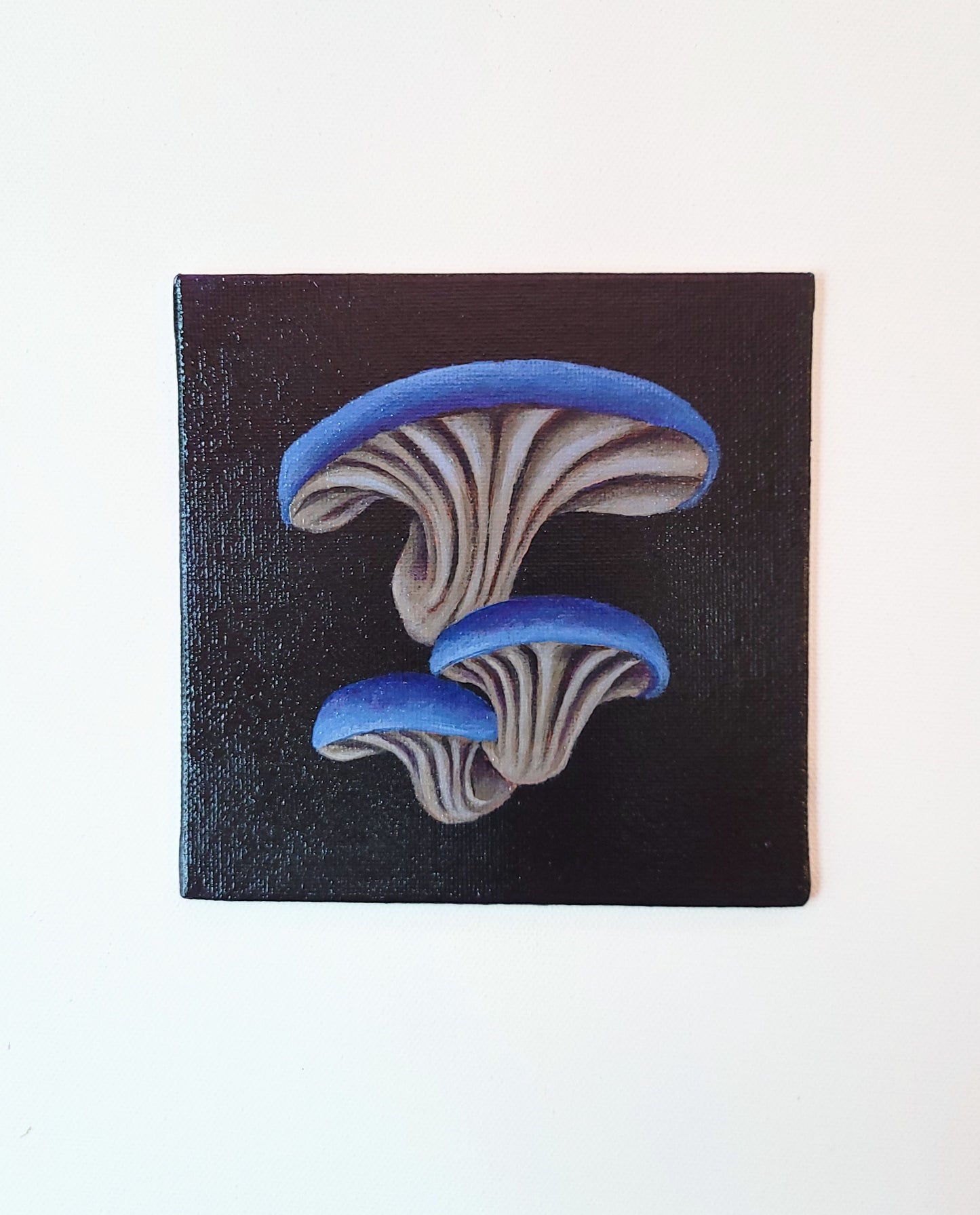 5x5 Framed Blue Mushroom