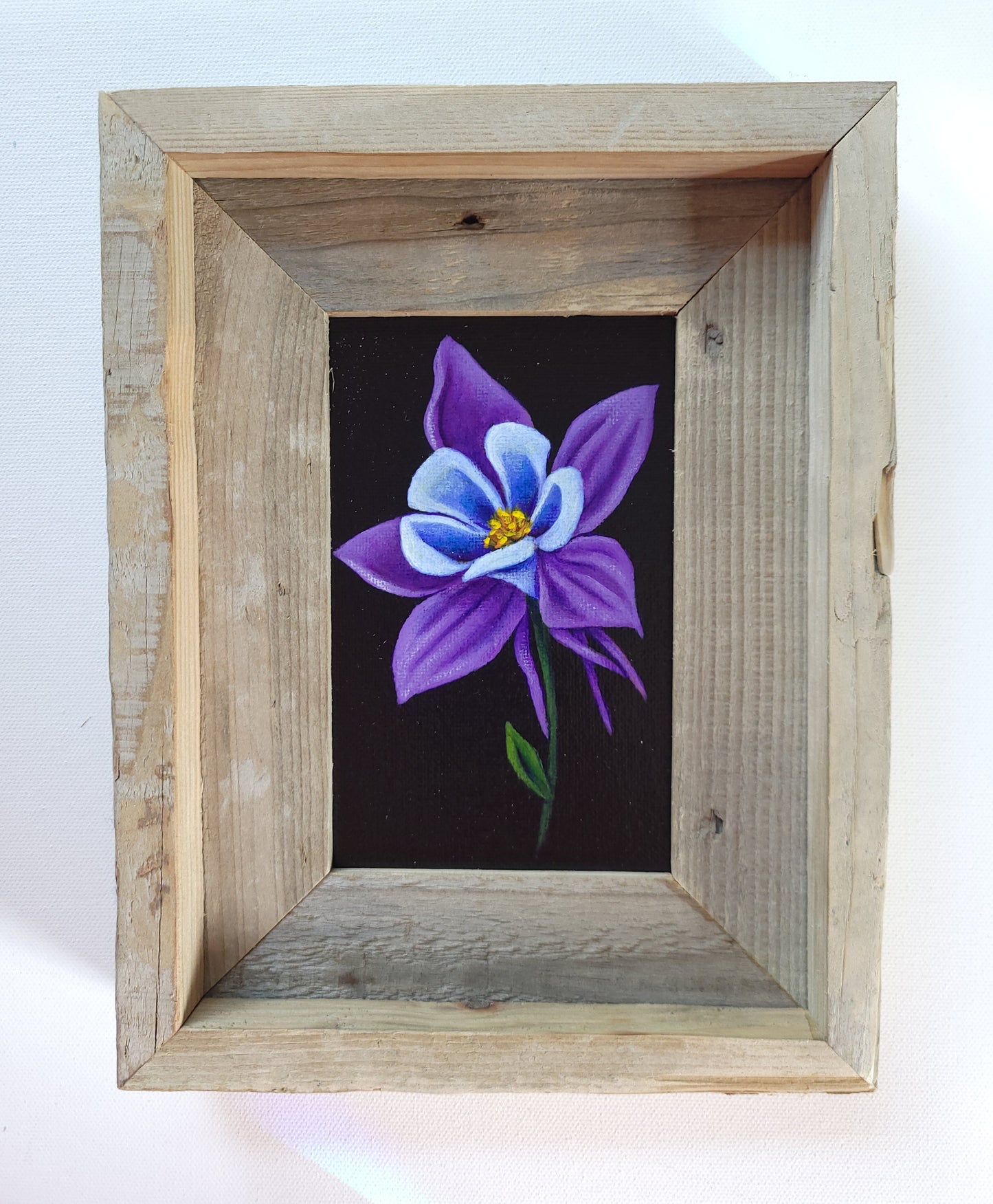 4x6 Framed Columbine