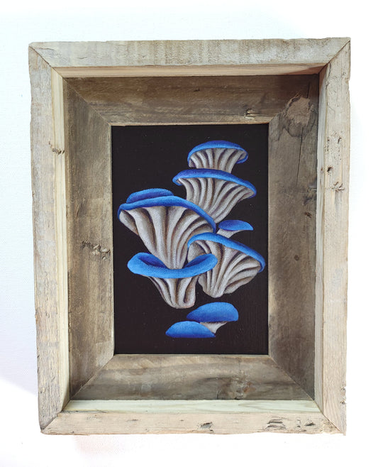 5x7 Framed Blue Oyster Mushroom III