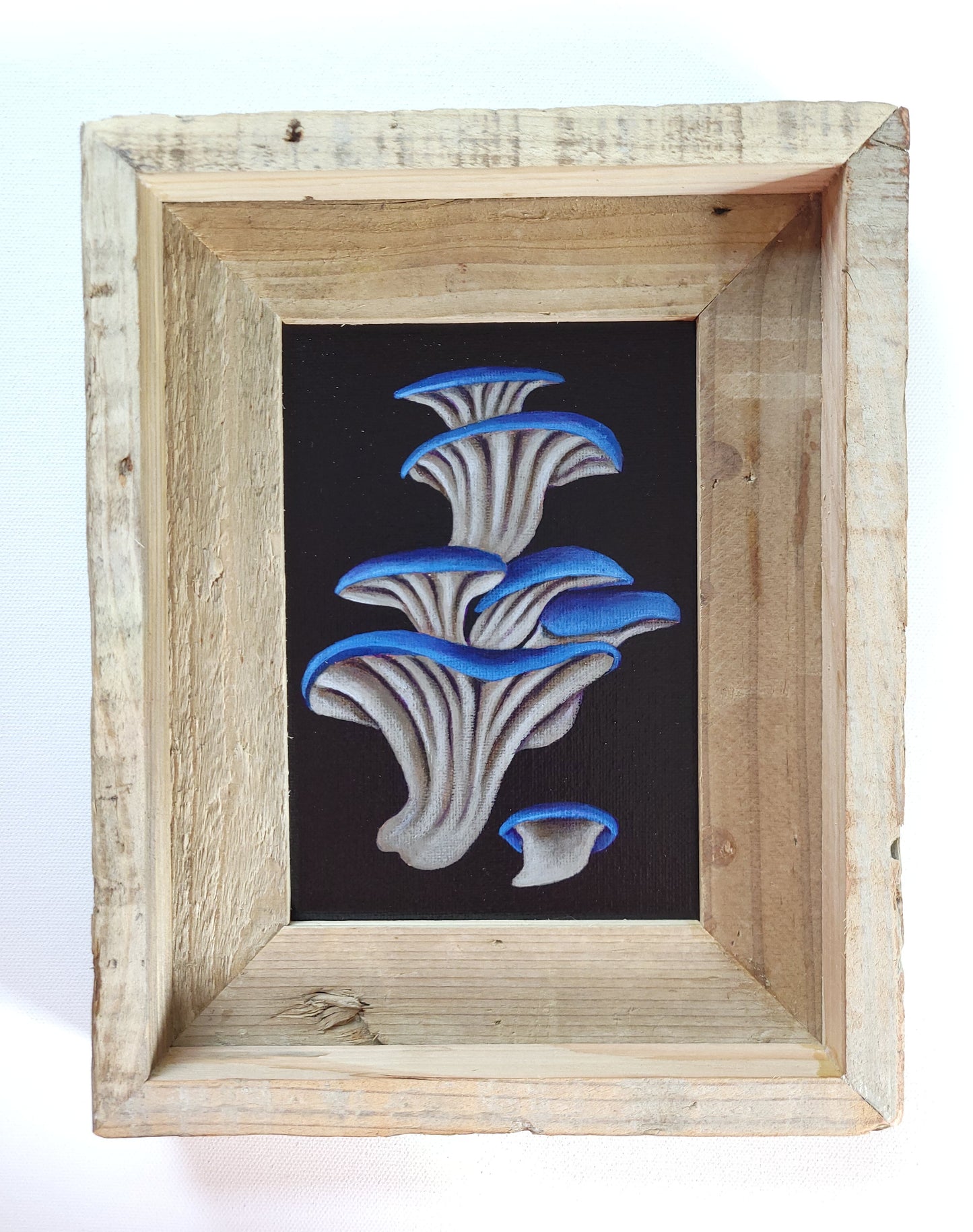 5x7 Framed Blue Oyster Mushroom II