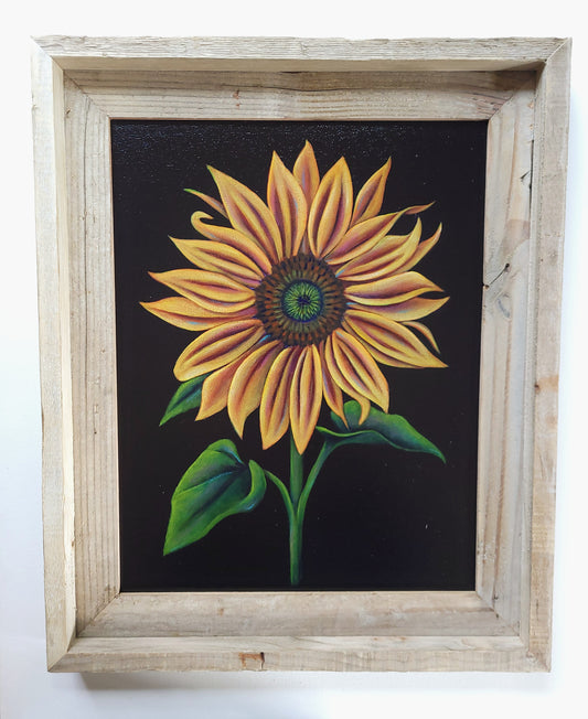11x14 Framed Sunflower VI