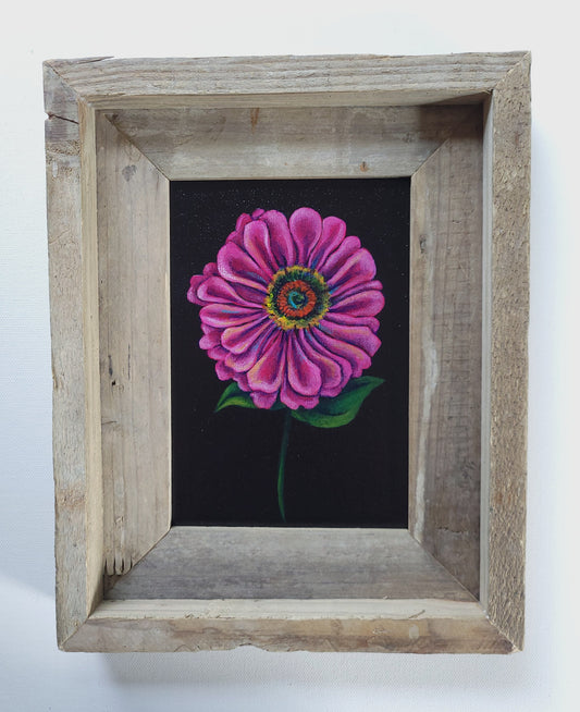 5x7 Framed Zinnia III