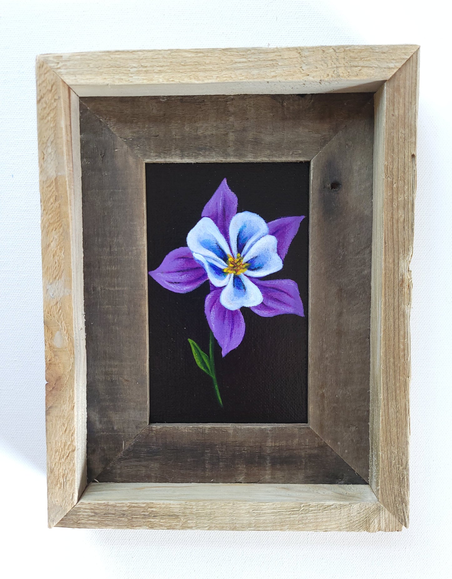 4x6 Framed Columbine III