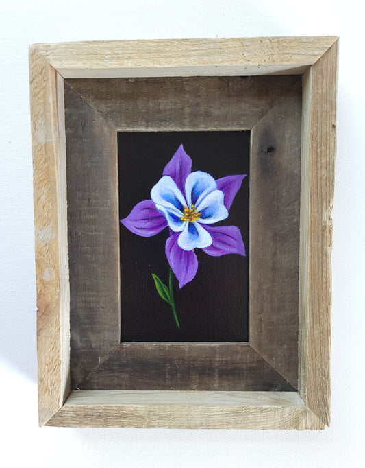 4x6 Framed Columbine III