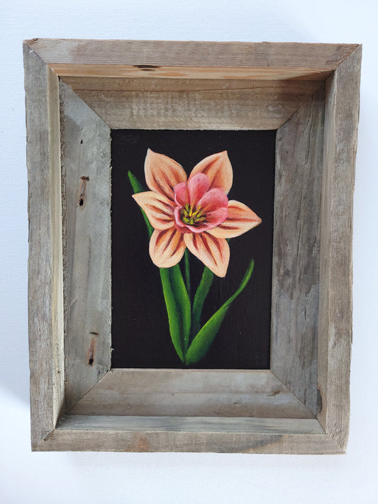 5x7 Framed Daffodil