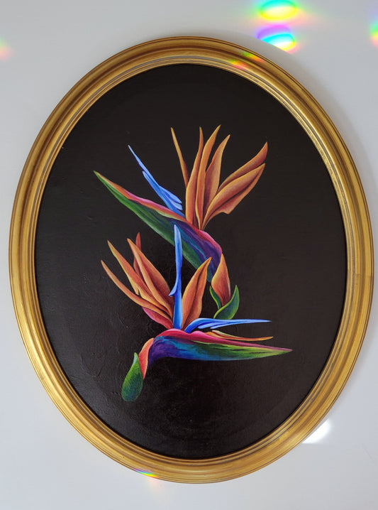 16x20 Framed Bird of Paradise II