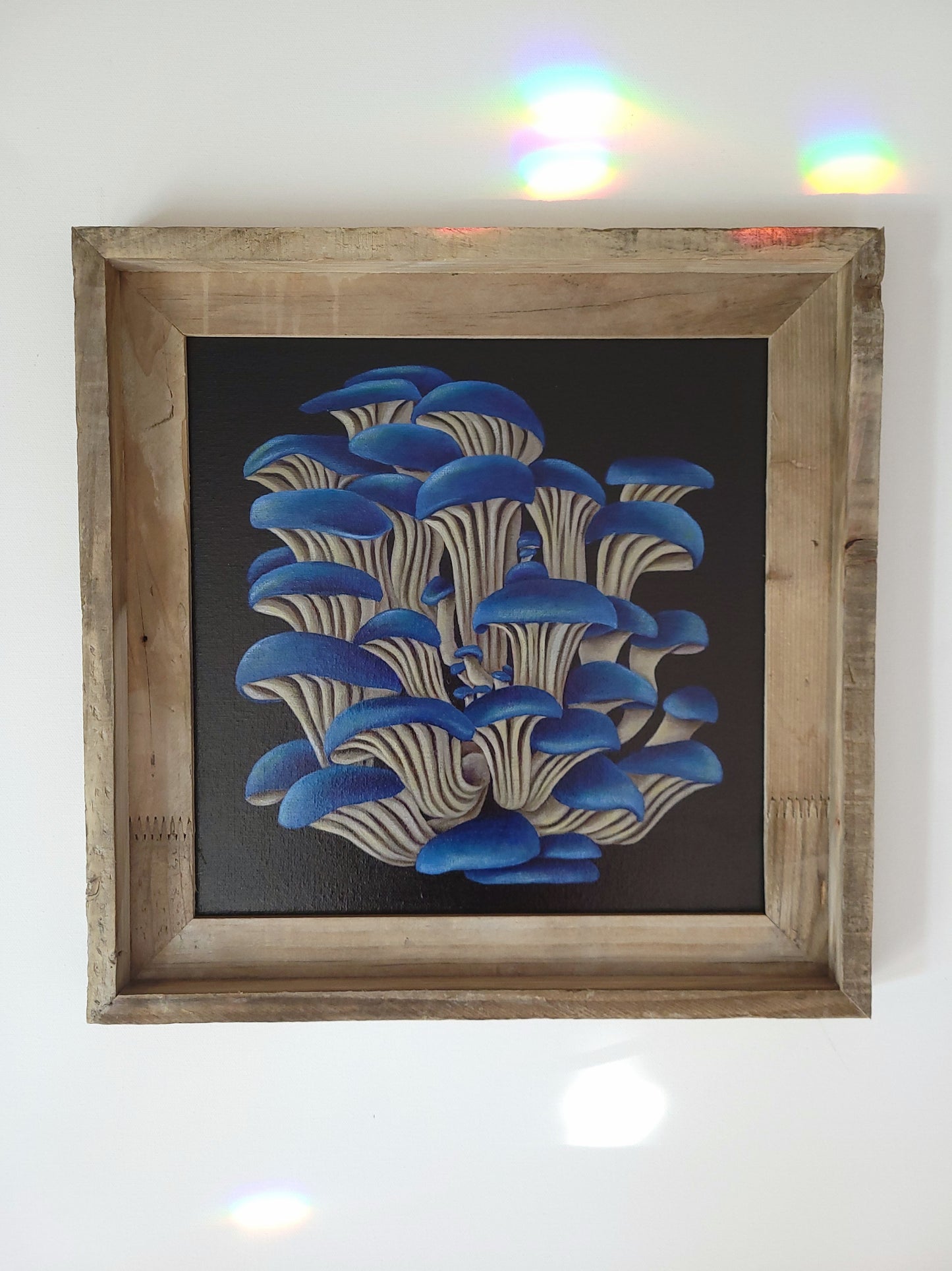 12x12 Framed Blue Oyster Mushrooms II