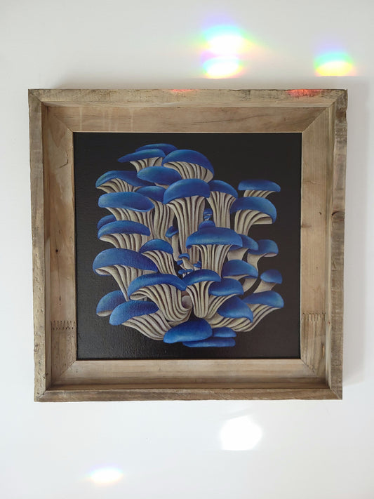 12x12 Framed Blue Oyster Mushrooms II