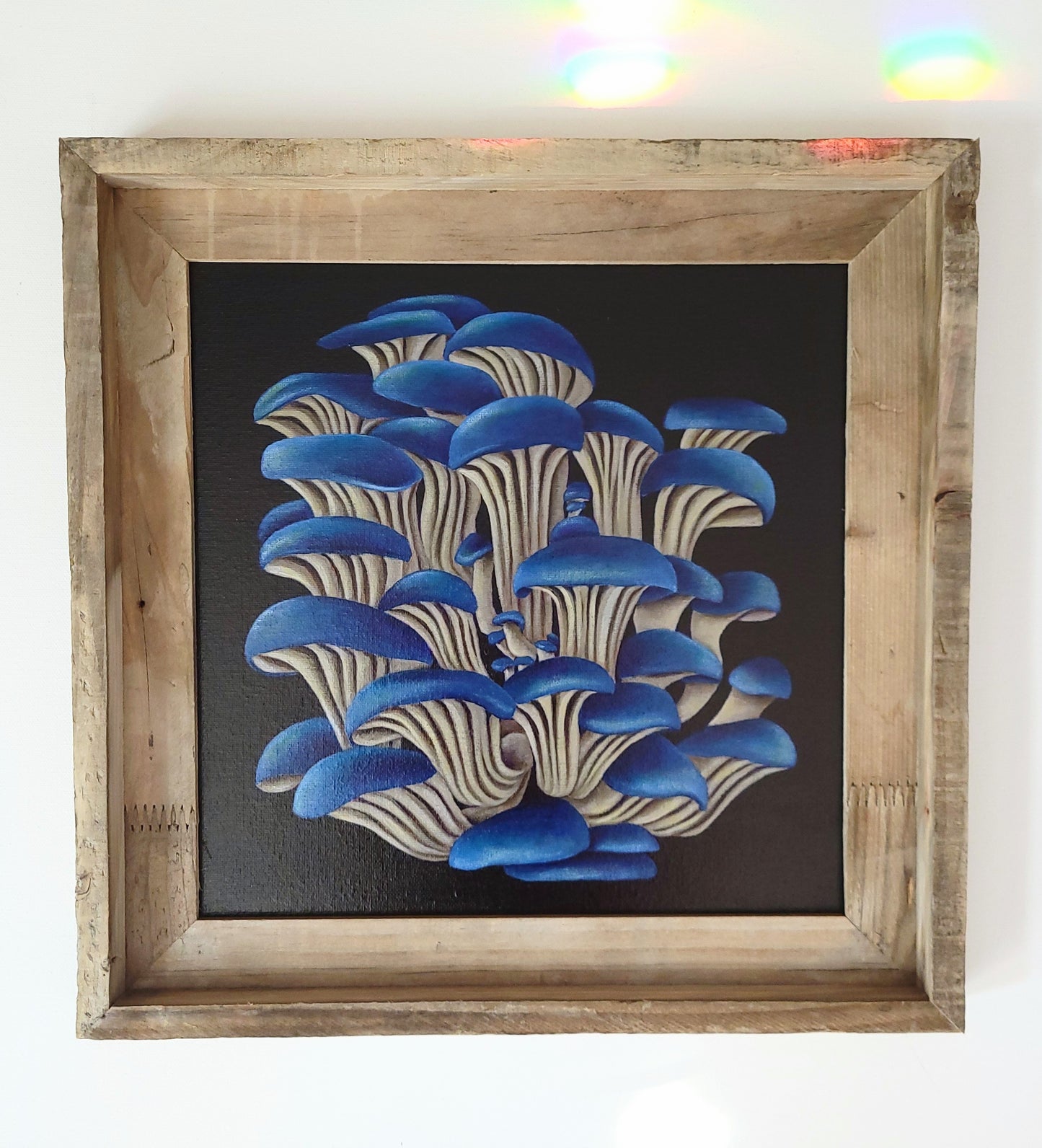 12x12 Framed Blue Oyster Mushrooms II