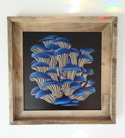 12x12 Framed Blue Oyster Mushrooms II