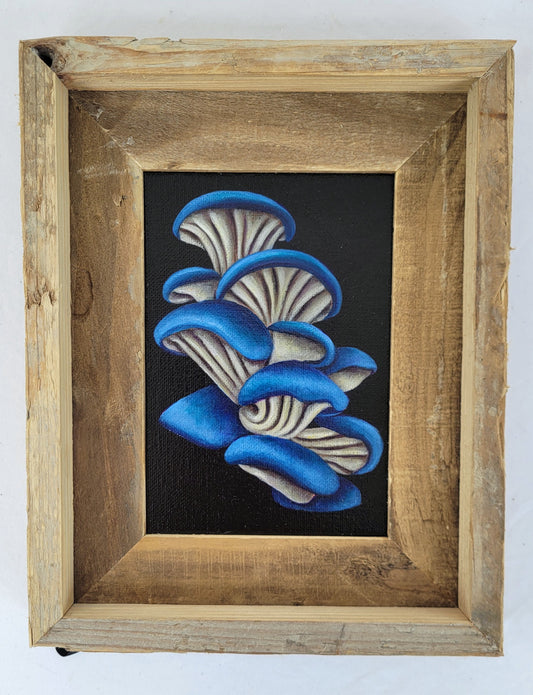 5x7 Framed Blue Oyster IV