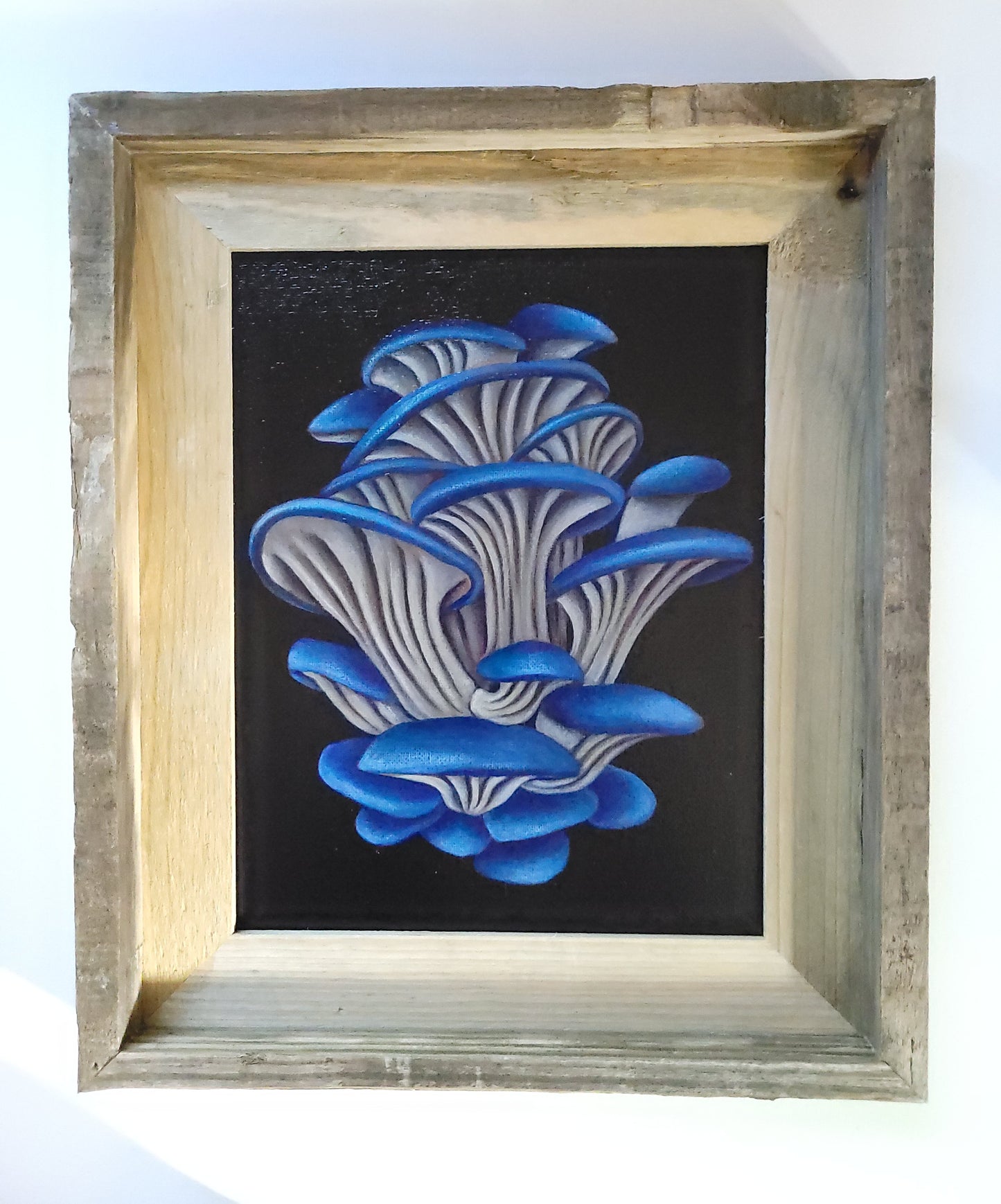 8x10 Blue Oyster Mushrooms II