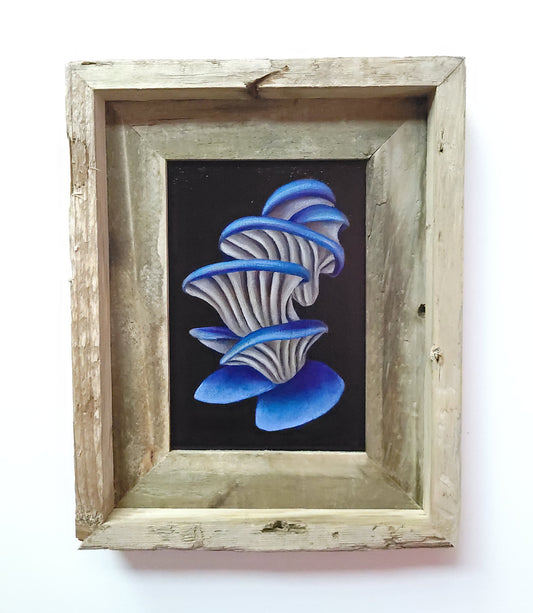 5x7 Framed Blue Oyster V