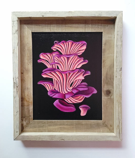 8x10 Pink Oyster Mushrooms VI (For Kim)
