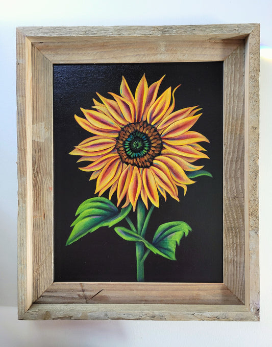 11x14 Framed Sunflower VII