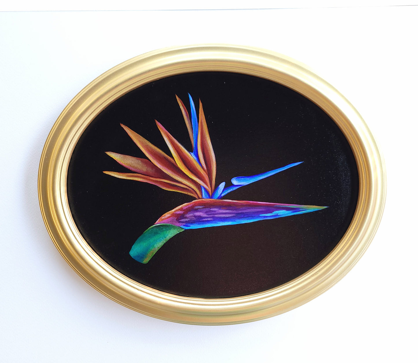 11x14 Framed Bird of Paradise II