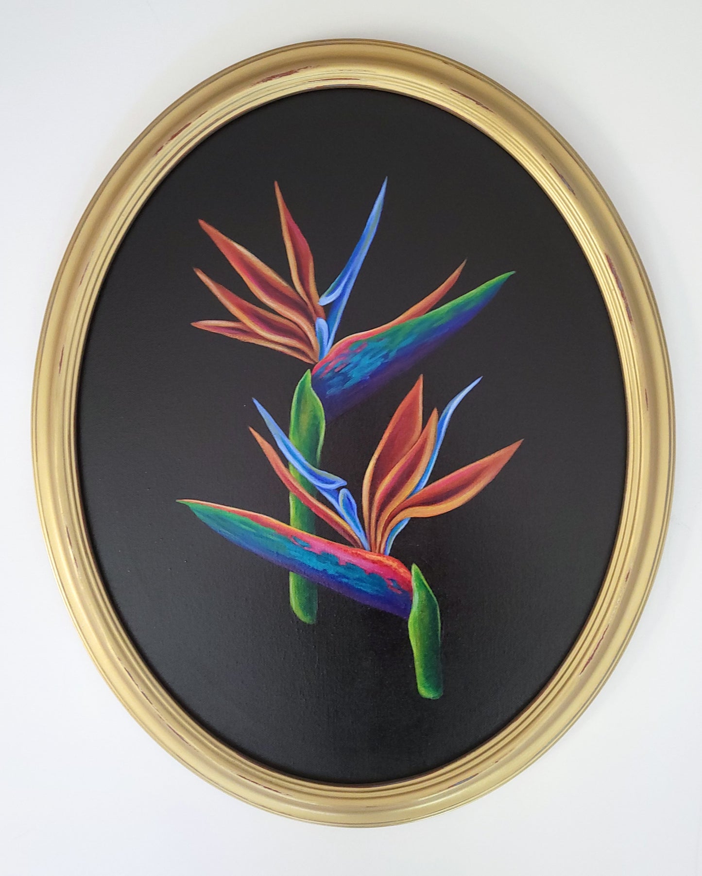 16x20 Framed Bird of Paradise III