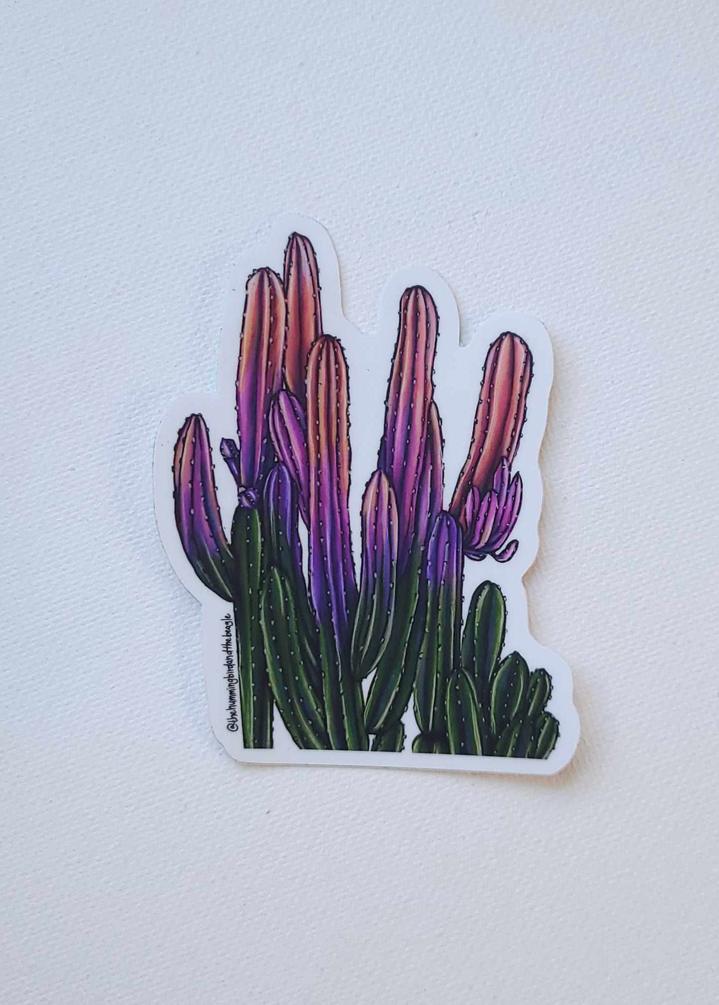 Colorful Cactus II Sticker