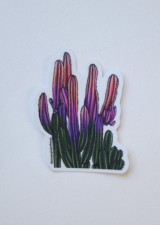 Colorful Cactus II Sticker