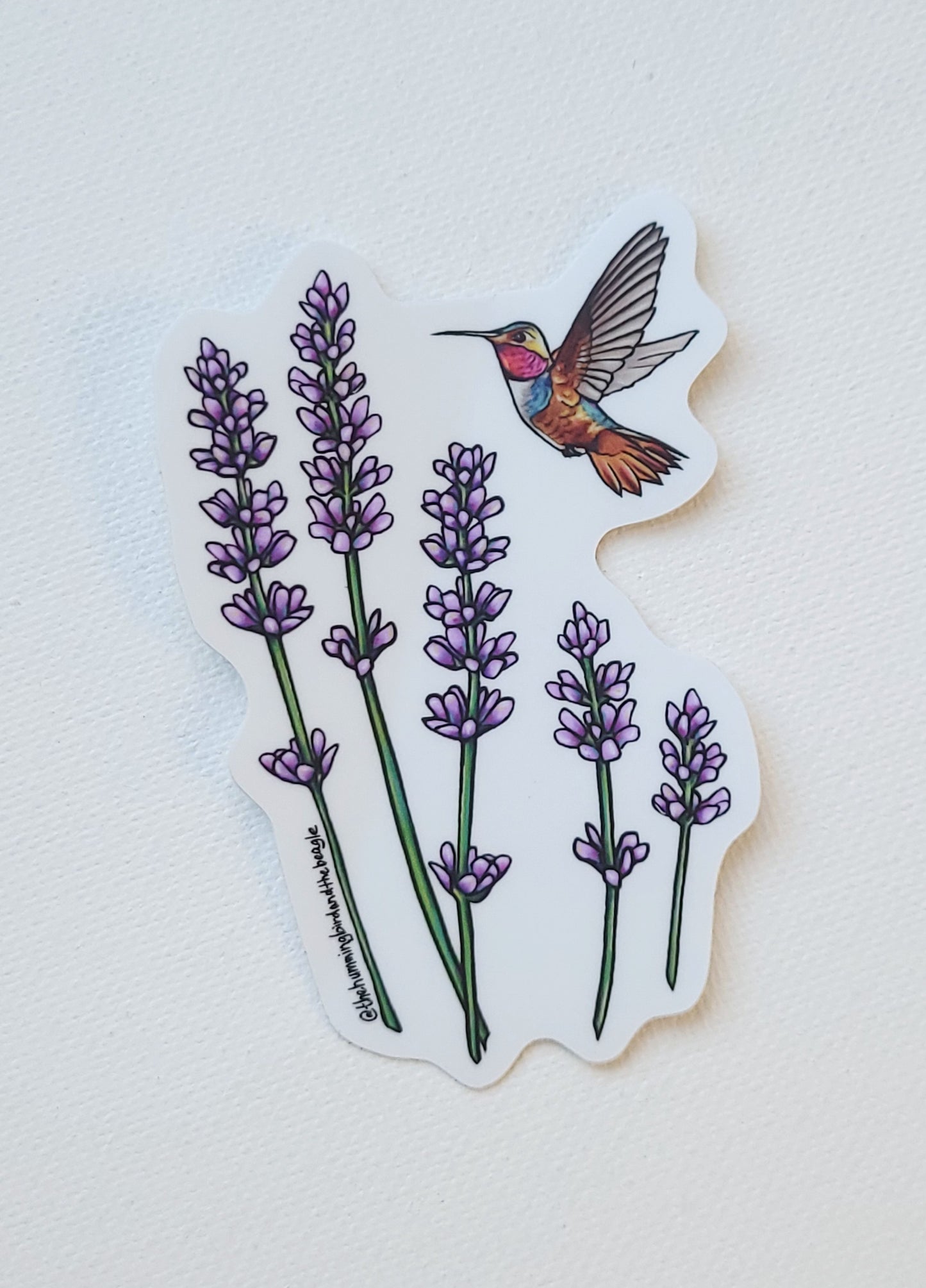 Lavender and Hummingbird Sticker