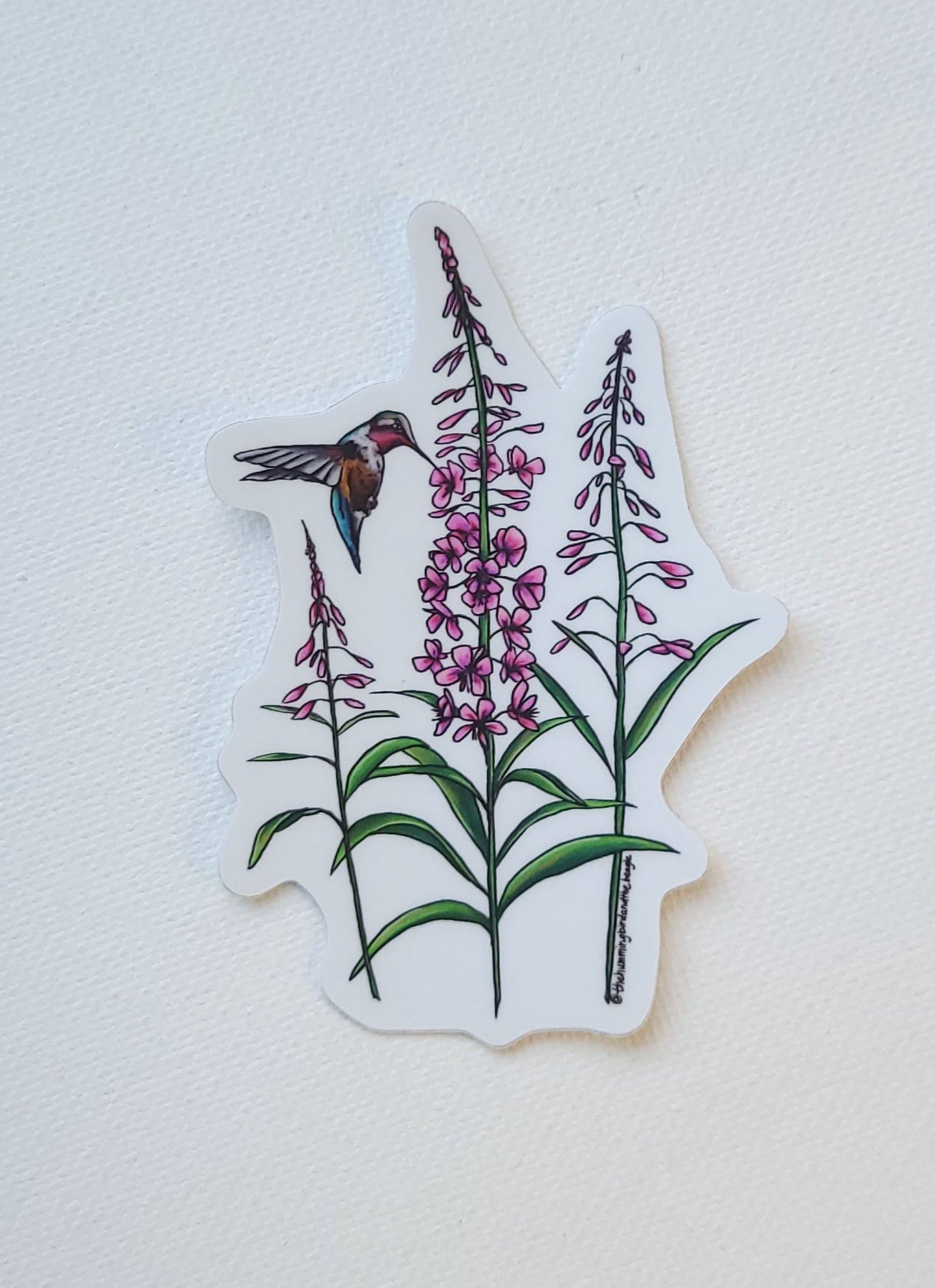 Fireweed and Hummingbird Sticker