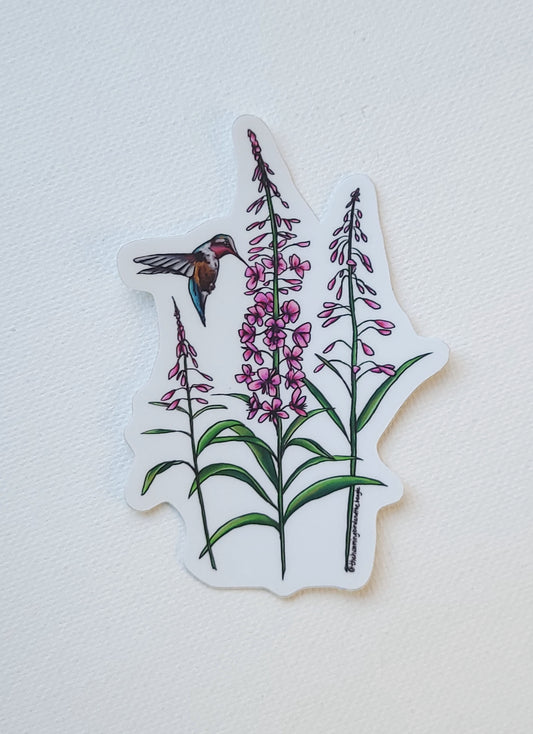 Fireweed and Hummingbird Sticker