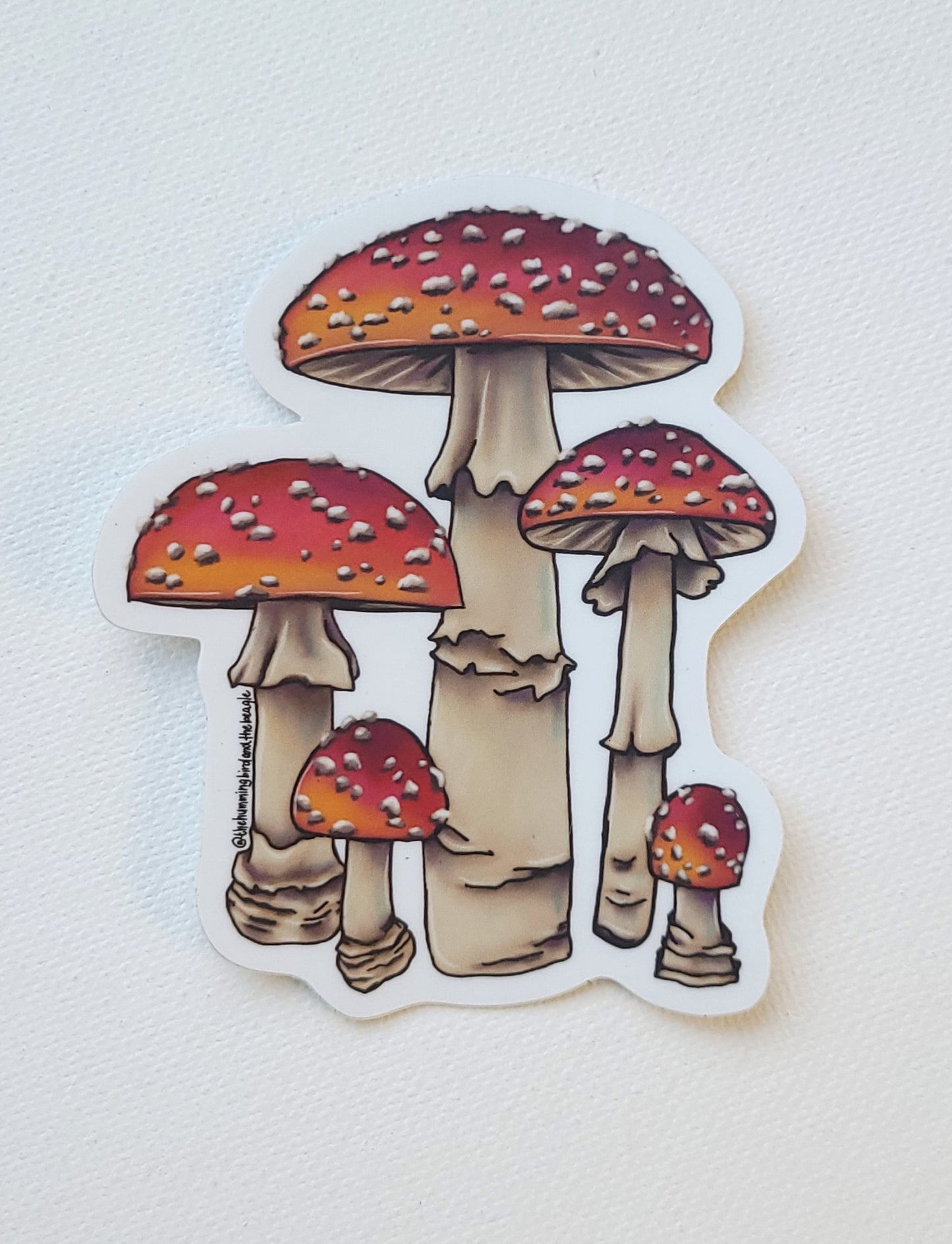 Group of Mushrooms Sticker