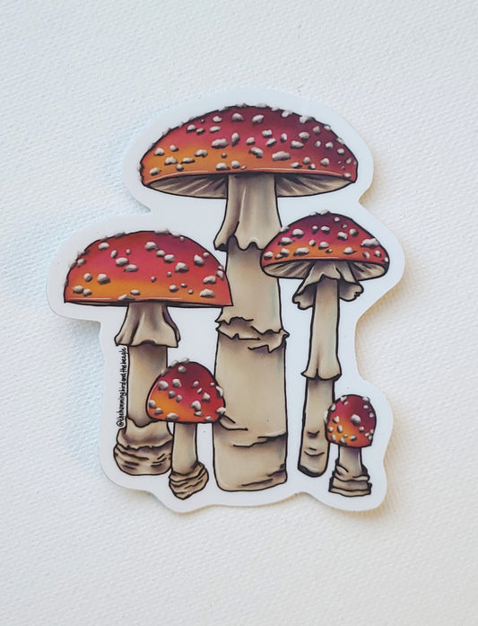 Group of Mushrooms Sticker