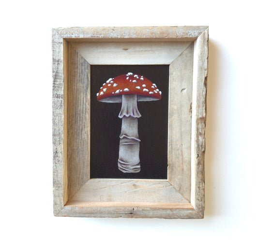 5x7 Framed Mushroom X