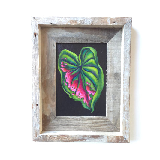 5x7 Framed Leaf IV