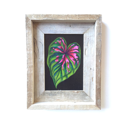 5x7 Framed Leaf III