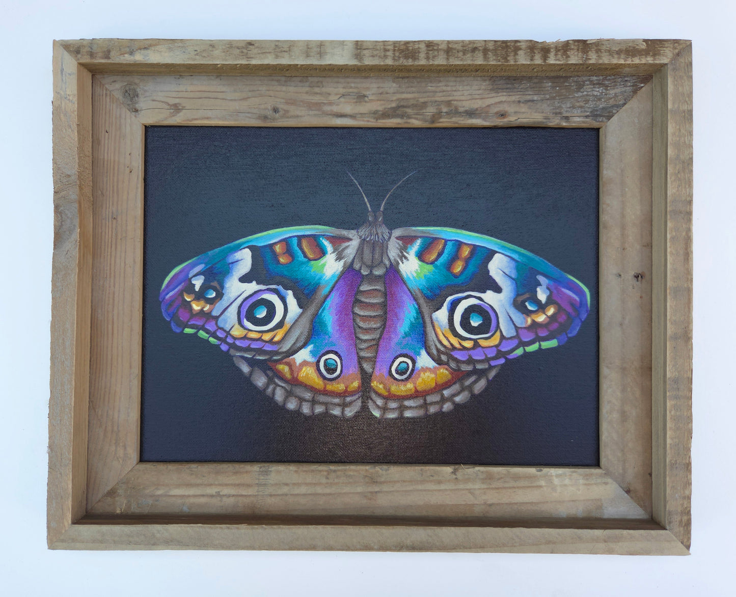 9x12 Rainbow Butterfly
