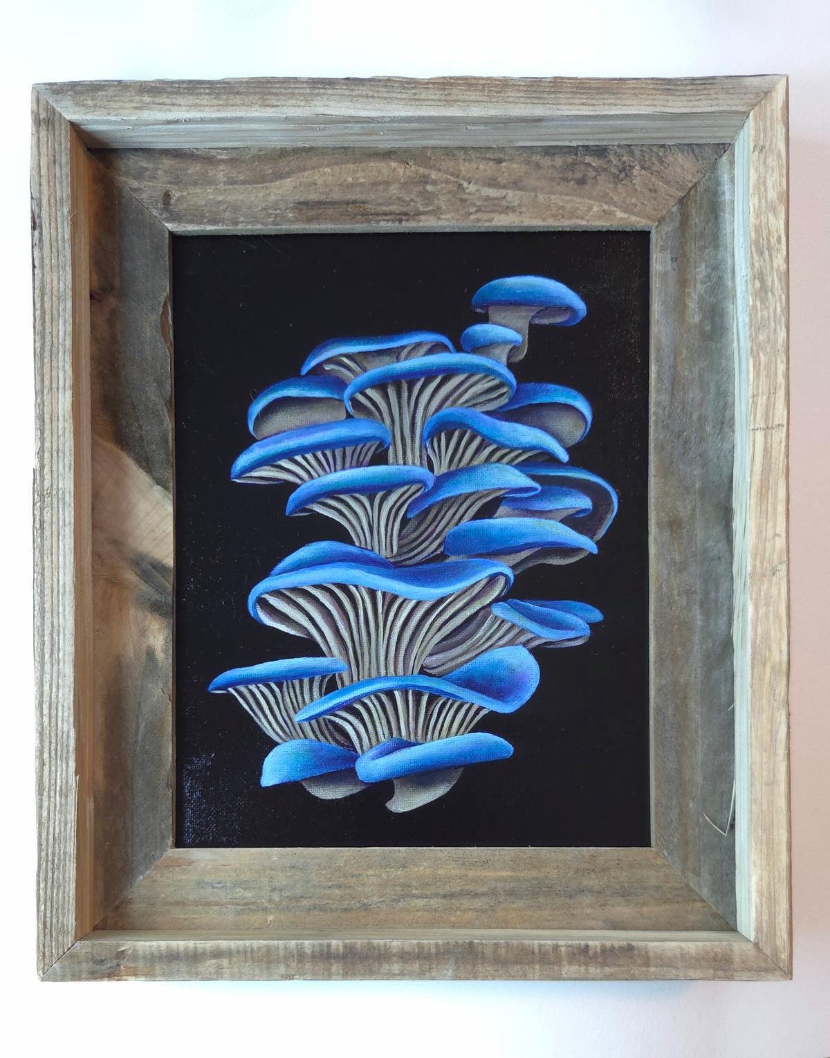 8x10 Blue Oyster Mushrooms IV