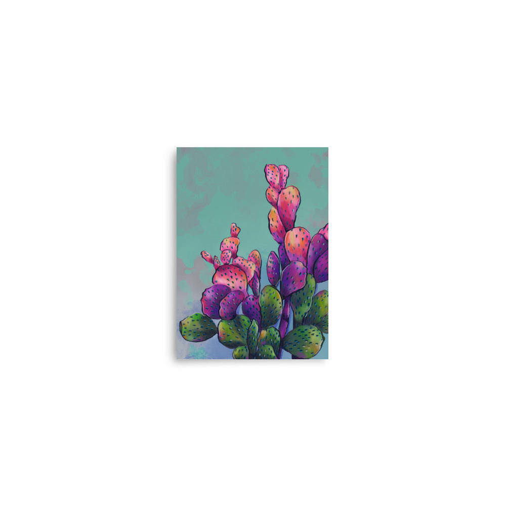 5x7 Fine Art Print - Colorful Cactus