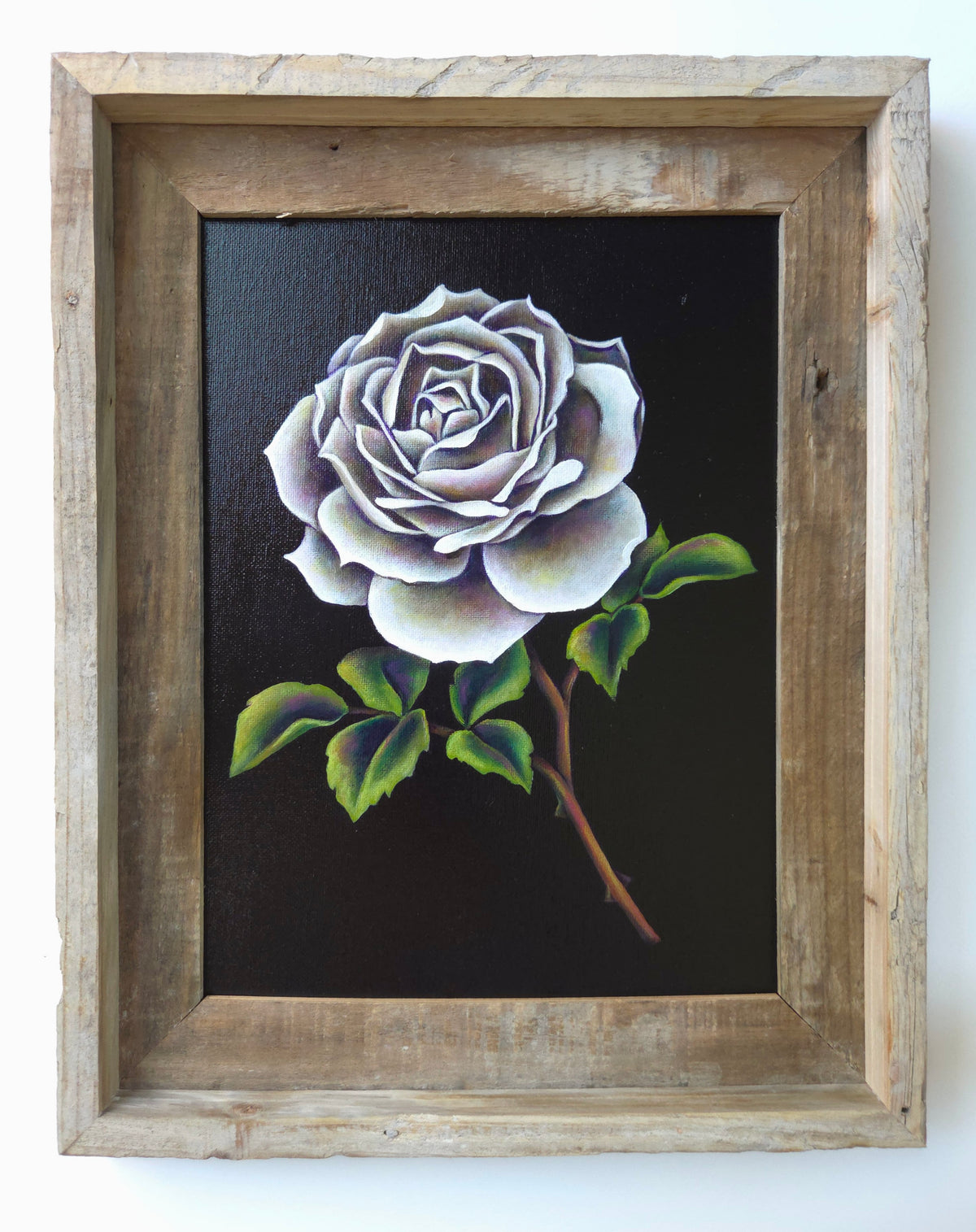 9x12 White Rose