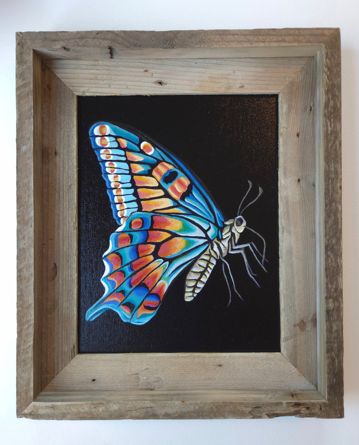 8x10 Butterfly V