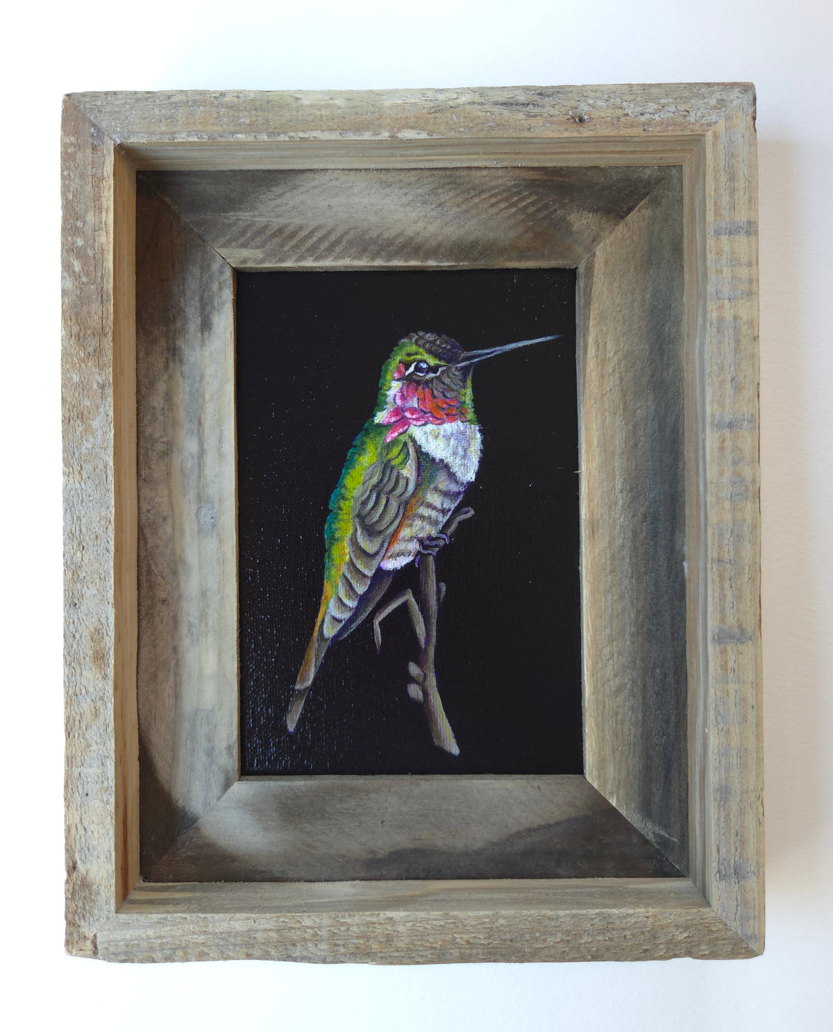 5x7 Framed Anna's Hummingbird