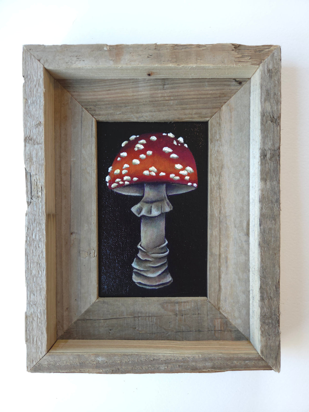 4x6 Framed Mushroom