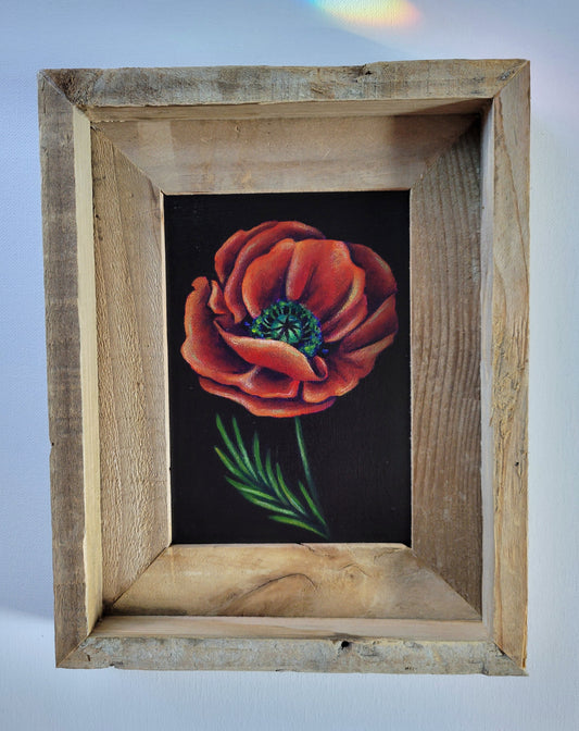 5x7 Framed Mini Poppy