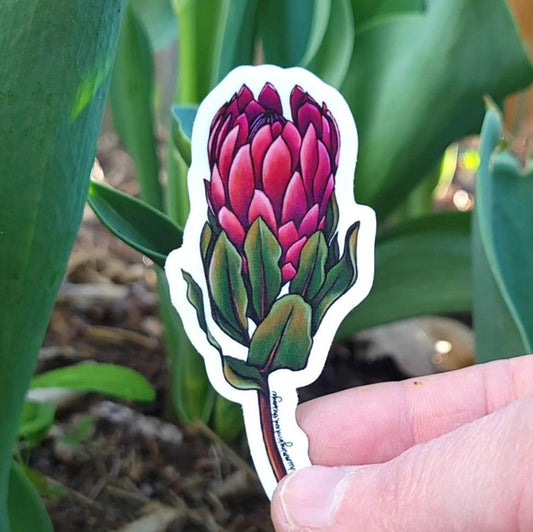 Protea Sticker