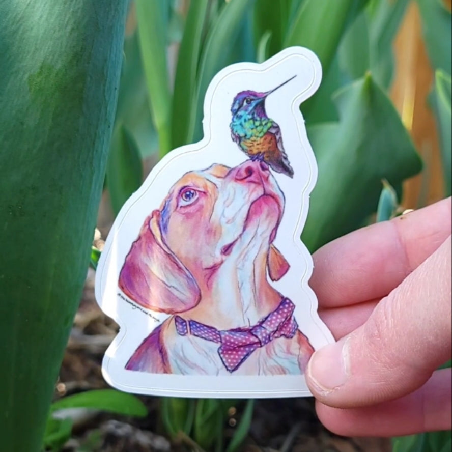 The Hummingbird and The Beagle Sticker