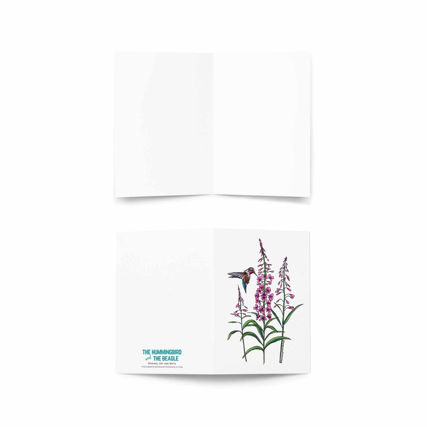 Fireweed and Hummingbird Greeting Card