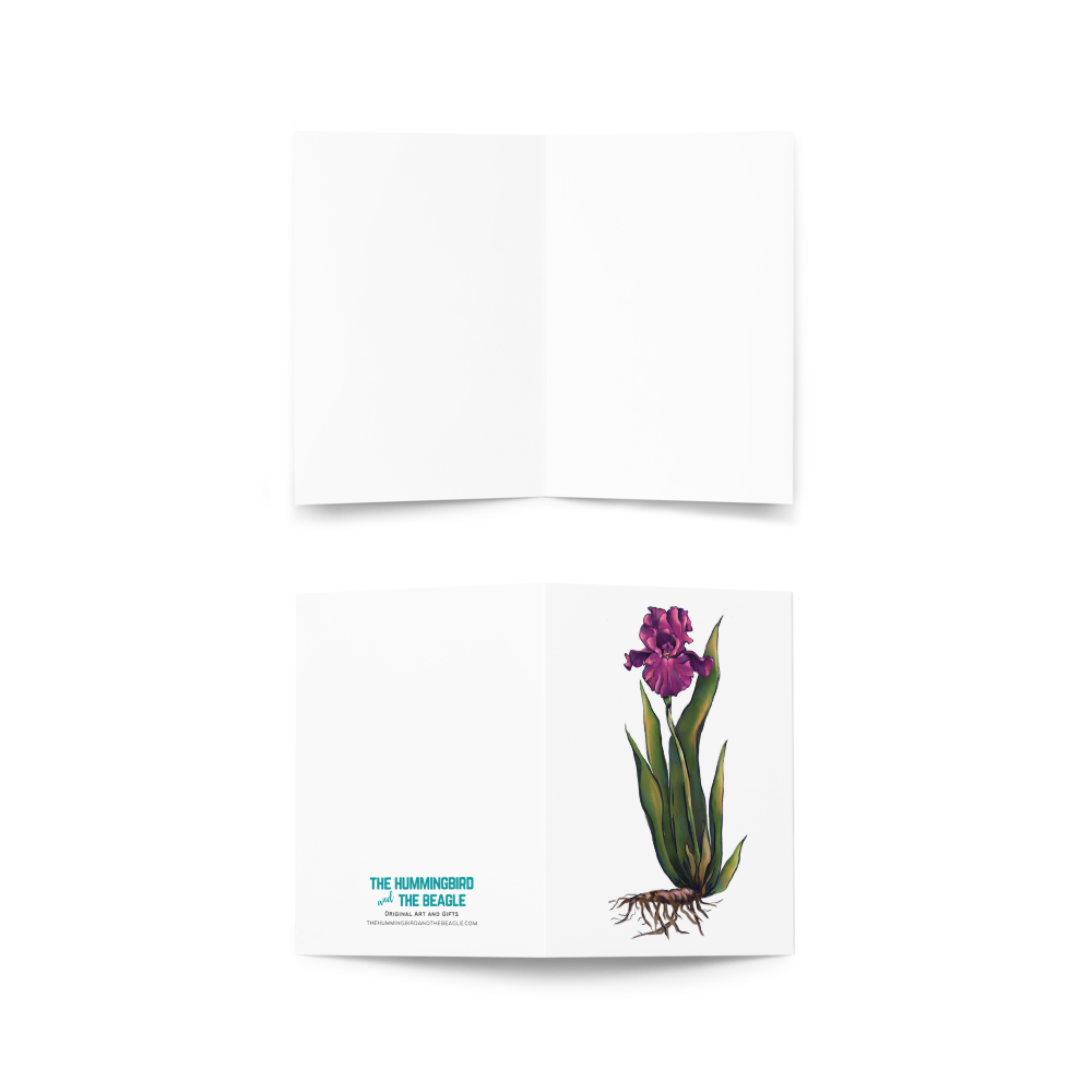Pretty Bearded Lady - Bearded Iris Greeting Card