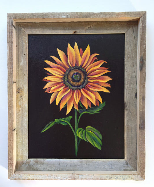 11x14 Framed Sunflower